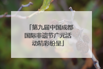 第九届中国成都国际非遗节广元活动精彩纷呈