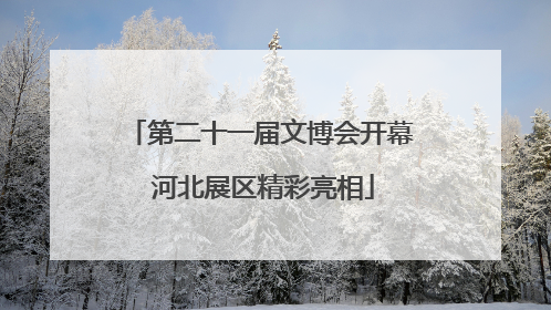 第二十一届文博会开幕 河北展区精彩亮相