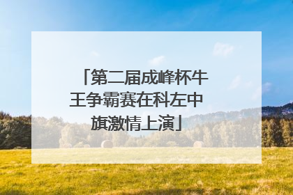 第二届成峰杯牛王争霸赛在科左中旗激情上演
