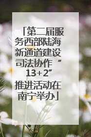 第二届服务西部陆海新通道建设司法协作“13+2”推进活动在南宁举办