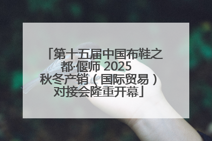 第十五届中国布鞋之都·偃师 2025 秋冬产销（国际贸易）对接会隆重开幕