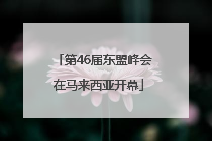 第46届东盟峰会在马来西亚开幕