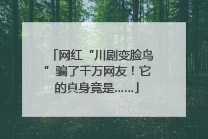 网红“川剧变脸鸟”骗了千万网友！它的真身竟是……