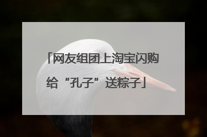 网友组团上淘宝闪购给“孔子”送粽子