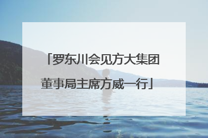 罗东川会见方大集团董事局主席方威一行