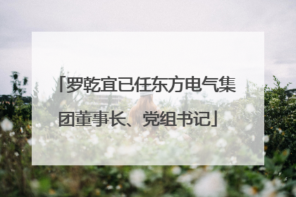 罗乾宜已任东方电气集团董事长、党组书记