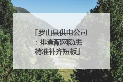 罗山县供电公司：排查配网隐患 精准补齐短板