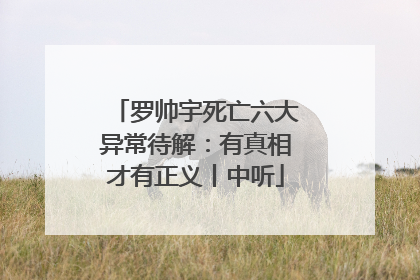 罗帅宇死亡六大异常待解：有真相才有正义丨中听