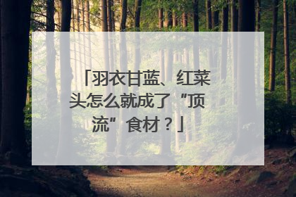 羽衣甘蓝、红菜头怎么就成了“顶流”食材？