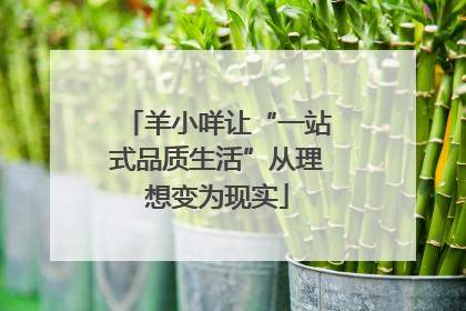 羊小咩让“一站式品质生活”从理想变为现实