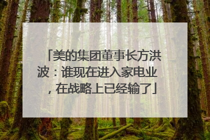 美的集团董事长方洪波：谁现在进入家电业，在战略上已经输了