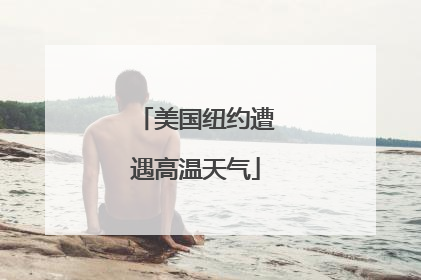美国纽约遭遇高温天气