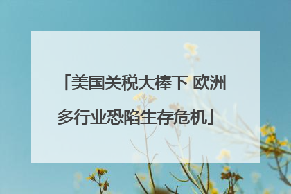 美国关税大棒下 欧洲多行业恐陷生存危机