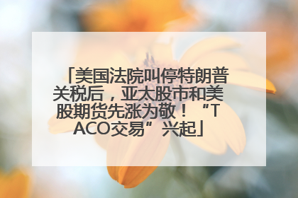 美国法院叫停特朗普关税后，亚太股市和美股期货先涨为敬！“TACO交易”兴起