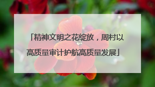 精神文明之花绽放，周村以高质量审计护航高质量发展
