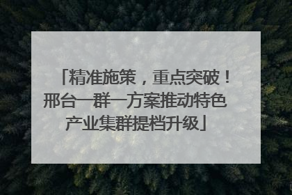 精准施策，重点突破！邢台一群一方案推动特色产业集群提档升级