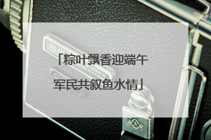 粽叶飘香迎端午 军民共叙鱼水情