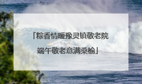 粽香情暖豫灵镇敬老院 端午敬老意满桑榆