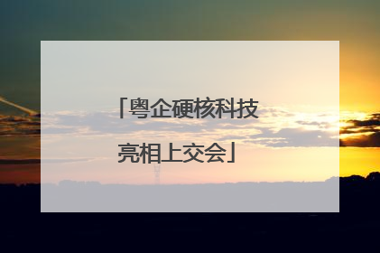 粤企硬核科技亮相上交会