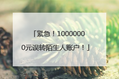 紧急！10000000元误转陌生人账户！