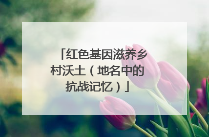 红色基因滋养乡村沃土（地名中的抗战记忆）