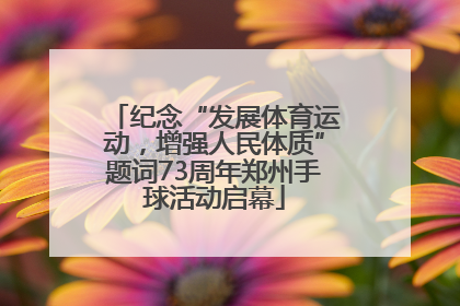纪念“发展体育运动，增强人民体质”题词73周年郑州手球活动启幕