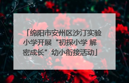 绵阳市安州区沙汀实验小学开展“初探小学 解密成长”幼小衔接活动