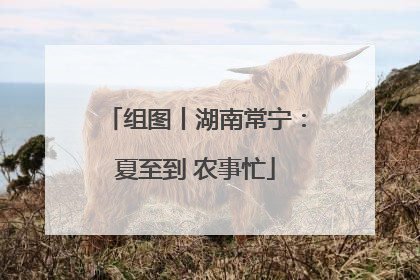 组图丨湖南常宁：夏至到 农事忙