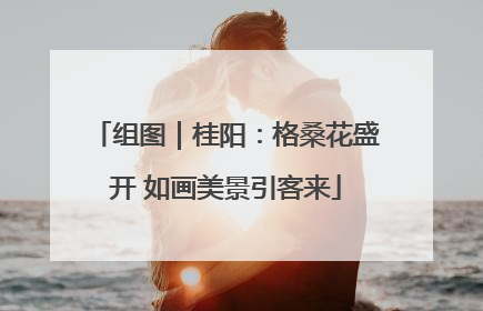 组图｜桂阳：格桑花盛开 如画美景引客来