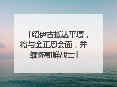 绍伊古抵达平壤，将与金正恩会面，并缅怀朝鲜战士