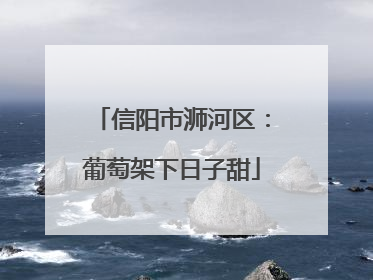 信阳市浉河区：葡萄架下日子甜
