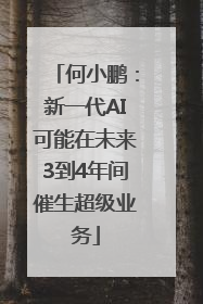 何小鹏：新一代AI可能在未来3到4年间催生超级业务
