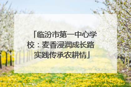 临汾市第一中心学校：麦香浸润成长路 实践传承农耕情