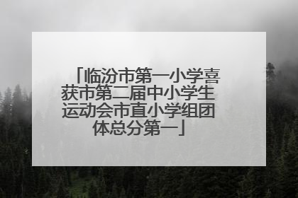 临汾市第一小学喜获市第二届中小学生运动会市直小学组团体总分第一