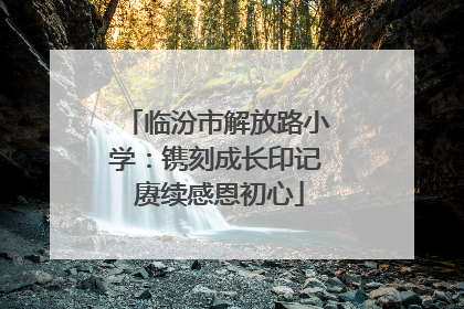 临汾市解放路小学：镌刻成长印记 赓续感恩初心