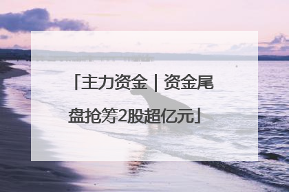 主力资金｜资金尾盘抢筹2股超亿元