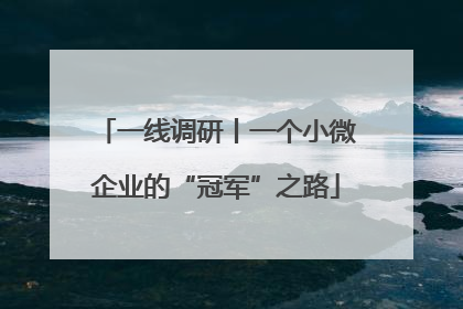 一线调研丨一个小微企业的“冠军”之路