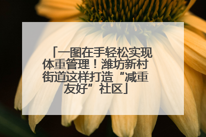 一图在手轻松实现体重管理！潍坊新村街道这样打造“减重友好”社区