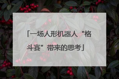 一场人形机器人“格斗赛”带来的思考
