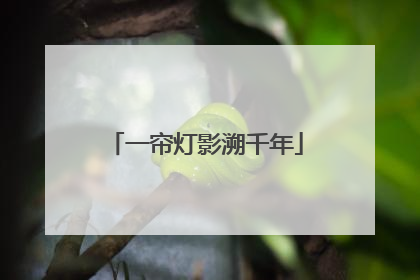 一帘灯影溯千年