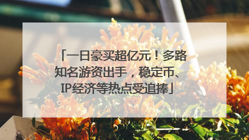 一日豪买超亿元！多路知名游资出手，稳定币、IP经济等热点受追捧
