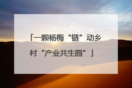一颗杨梅“链”动乡村“产业共生圈”
