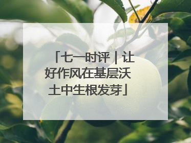 七一时评｜让好作风在基层沃土中生根发芽