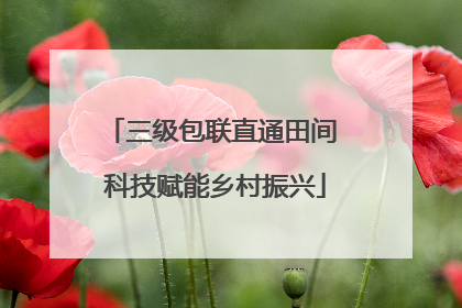 三级包联直通田间 科技赋能乡村振兴