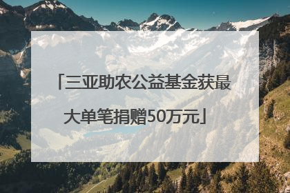 三亚助农公益基金获最大单笔捐赠50万元