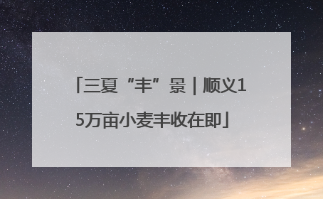 三夏“丰”景｜顺义15万亩小麦丰收在即