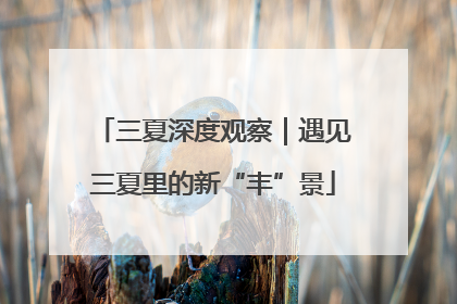 三夏深度观察｜遇见三夏里的新“丰”景