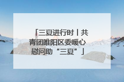 三夏进行时丨共青团睢阳区委暖心慰问助“三夏”
