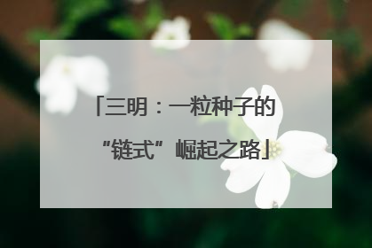 三明：一粒种子的“链式”崛起之路