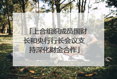 上合组织成员国财长和央行行长会议支持深化财金合作